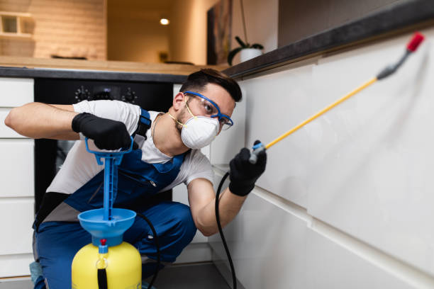 Best Cockroach Control Services  in Bentleyville, PA