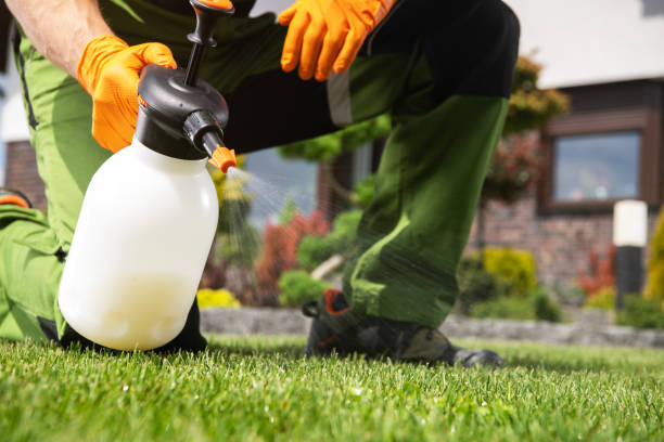 Professional Pest Control in Bentleyville, PA