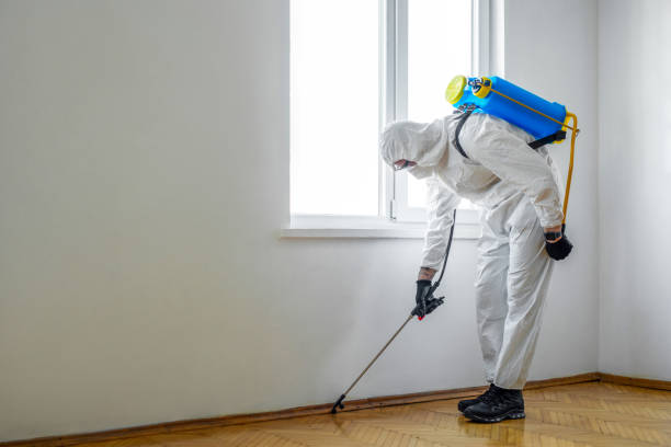 Best Local Pest Control Services  in Bentleyville, PA