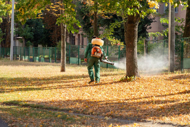 Best Pest Control for Restaurants  in Bentleyville, PA