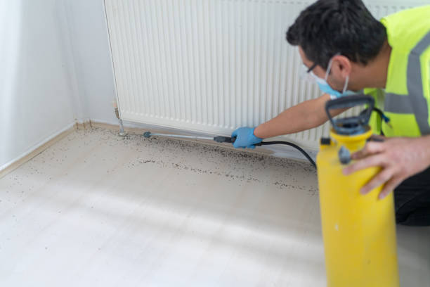 Best Affordable Pest Control Services  in Bentleyville, PA