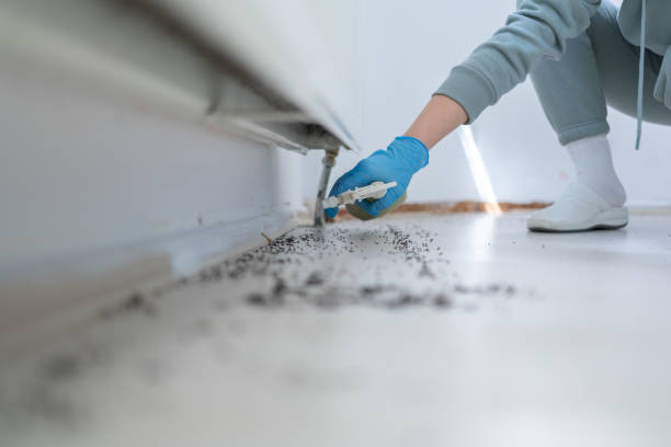 Best Pest Inspection Near Me  in Bentleyville, PA
