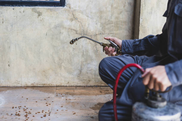Best Termite Control Services  in Bentleyville, PA